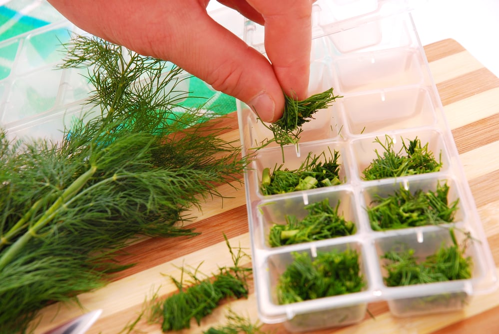 Not sure what to do with all of your herbs you planted this summer? Here are some ideas for Preserving Herbs as it's most likely way easier than you think. 