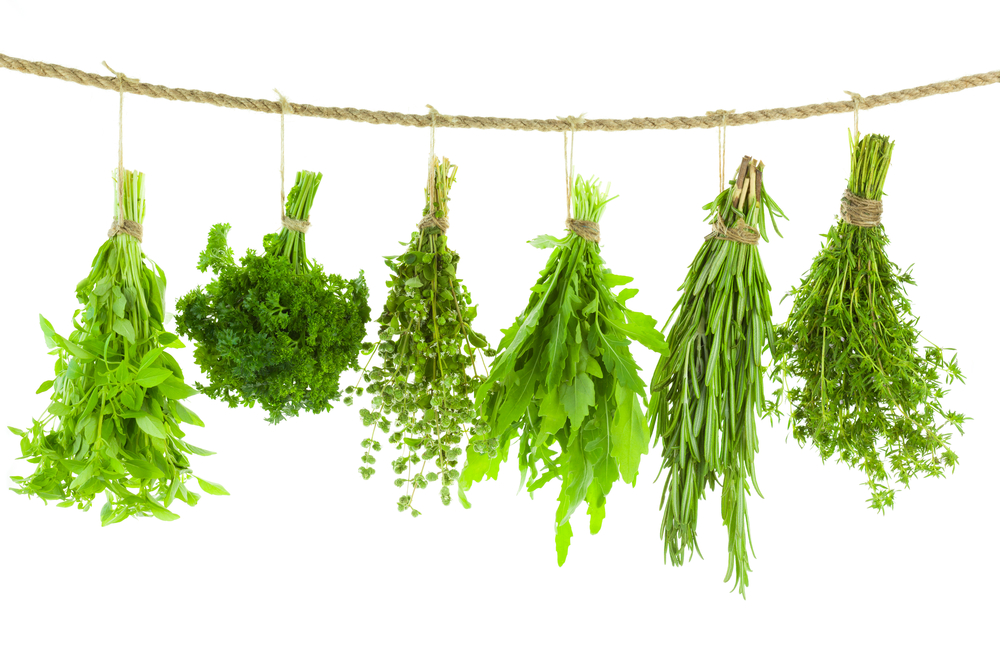 Fresh herbs are hanging upside down on a jute roap to dry out for preserving.
