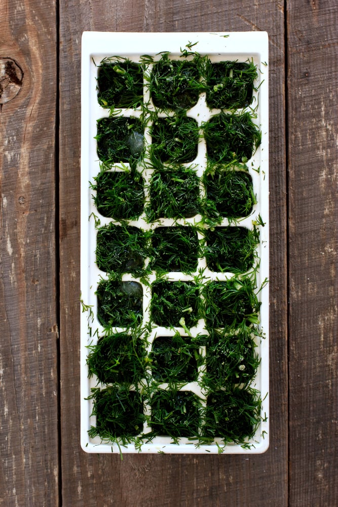 Dill cut up and stuffed into cells of an ice making tray.