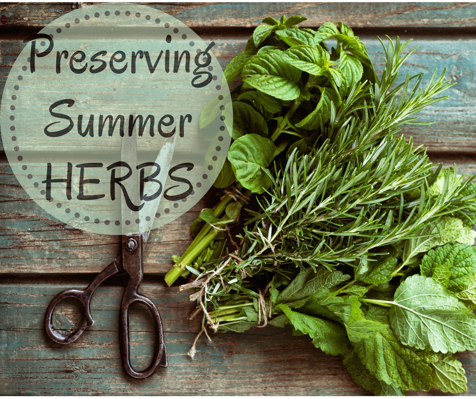 Herbs like rosemary and basil are on a wooden board with scissors.