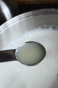 adding lemon juice to milk to make your own cheese
