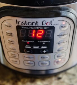 Instant Pot for Rice Pudding 12 minutes