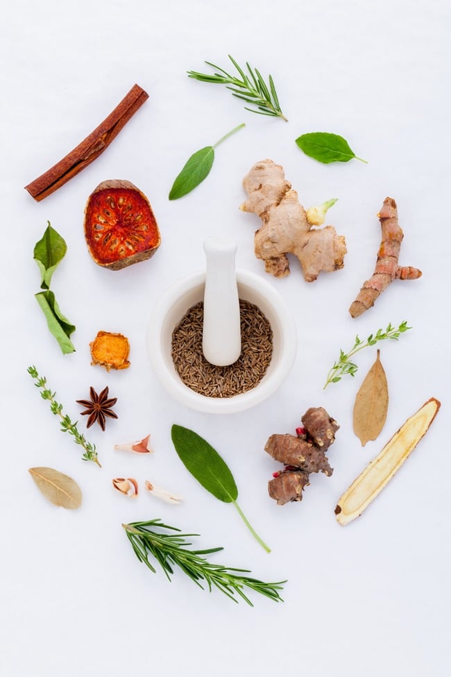 A white morter and pestle with herbs in it are in the center and then surrounded with herbs and spices in their fresh form.