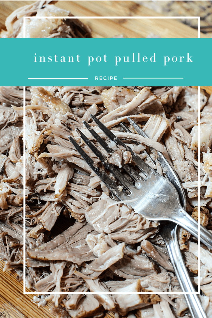 Extremely Easy Instant Pot Pulled Pork The Salty Pot