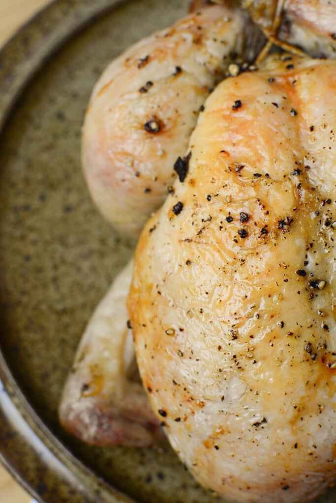 Ina Garten's Engagement Chicken - Recipe Review - Check out the results!! 