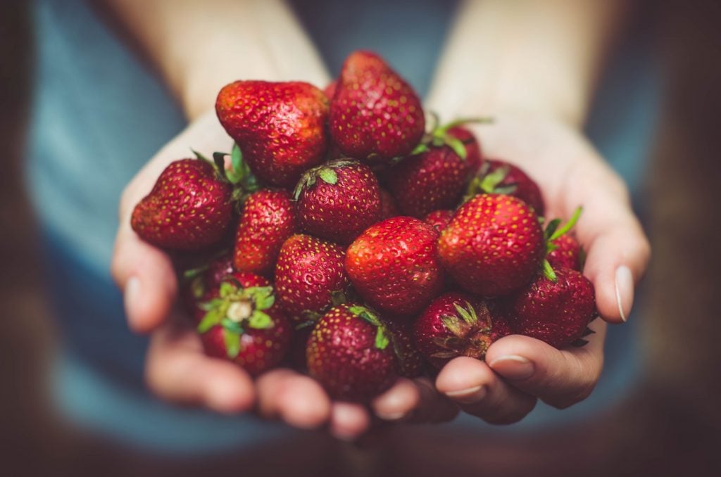 If you've never made jam using the water bath method, take a peek at this post. It's the easiest and best way to get started in the world of canning! 