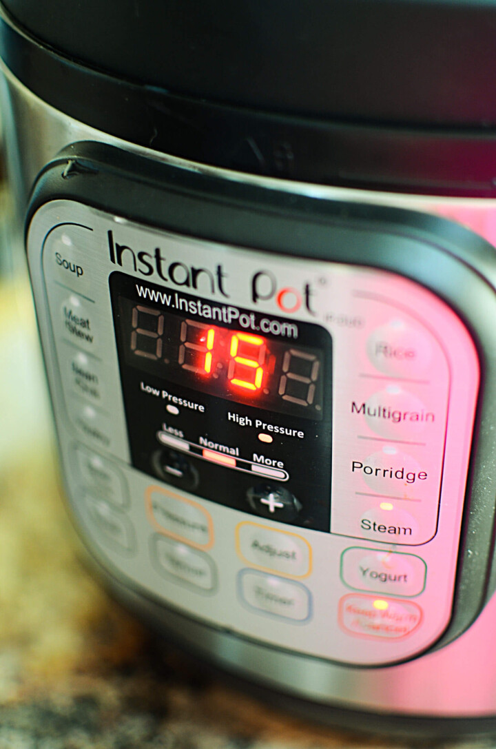 Instant Pot For Beginners Guide The Salty Pot
