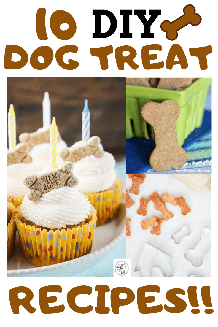 Best Recipes for DIY Dog Treats