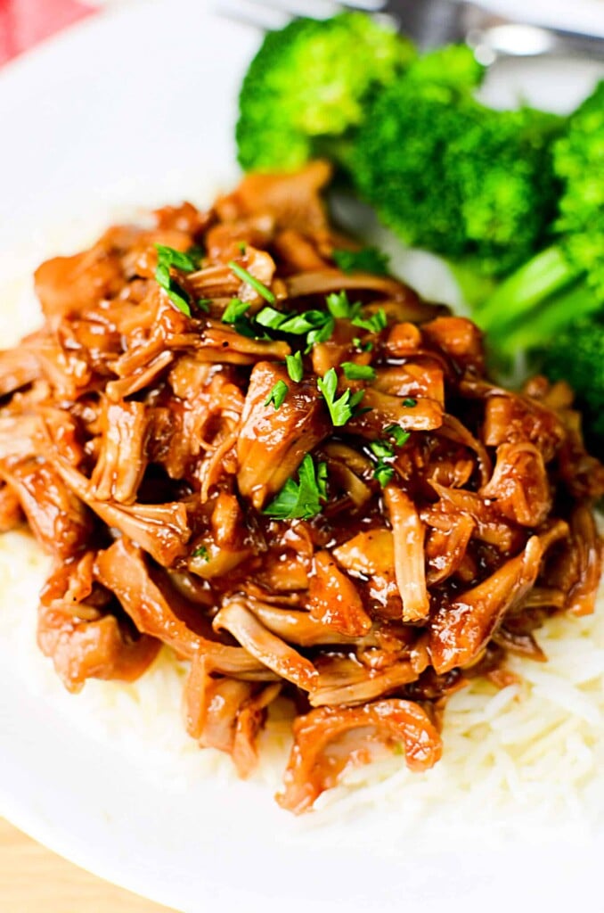 Pulled pork in ninja slow cooker hot sale