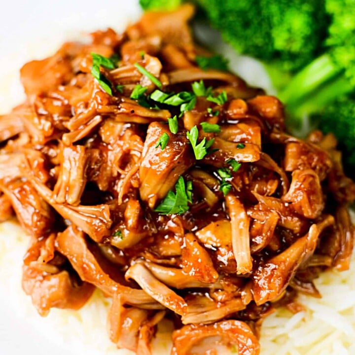 NINJA FOODI VEGETARIAN PULLED PORK