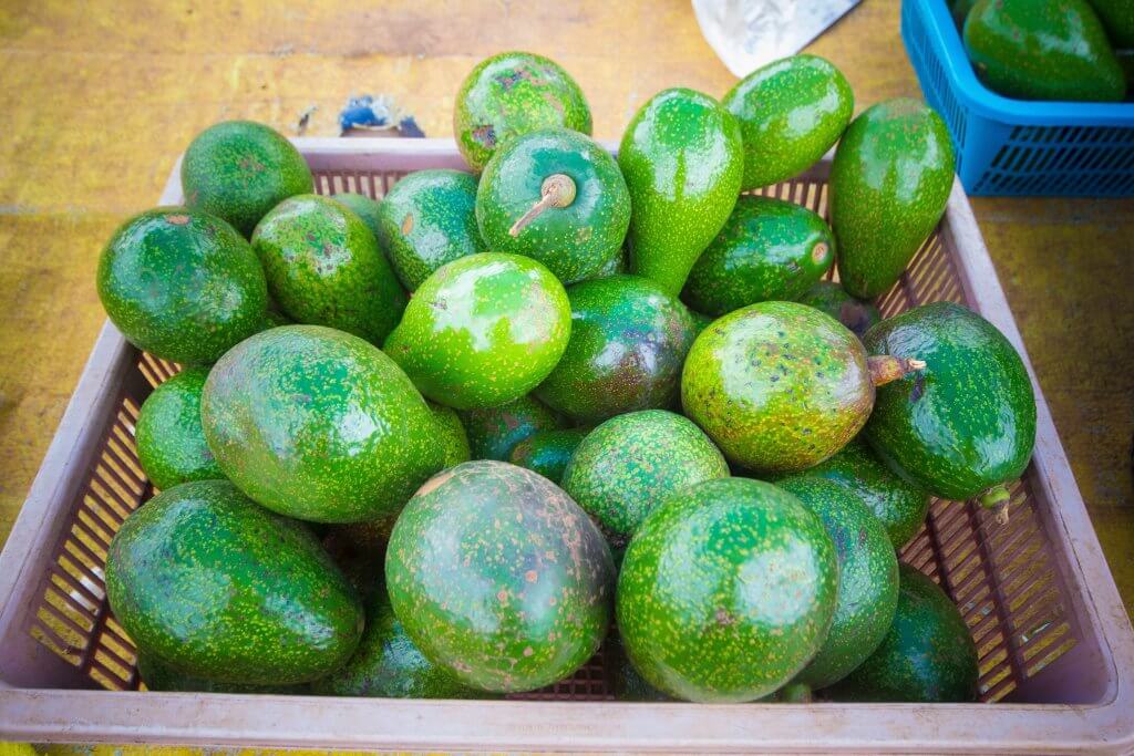 A  pile of green avocados are sitting in a brown basket.