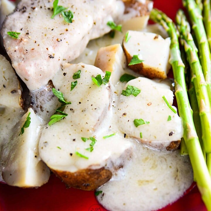 Foodi Buttery Ranch Pork Chops 