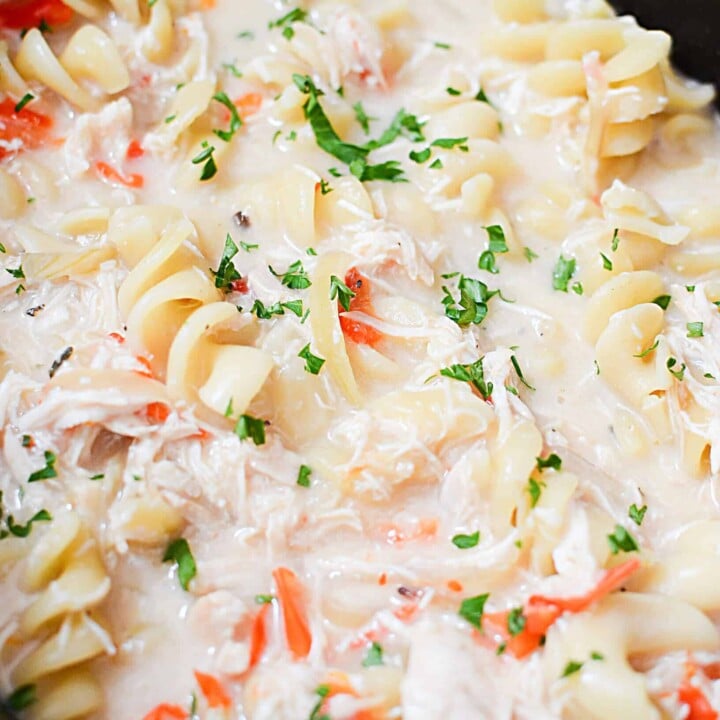 SLOW COOKER CHICKEN ALFREDO SOUP