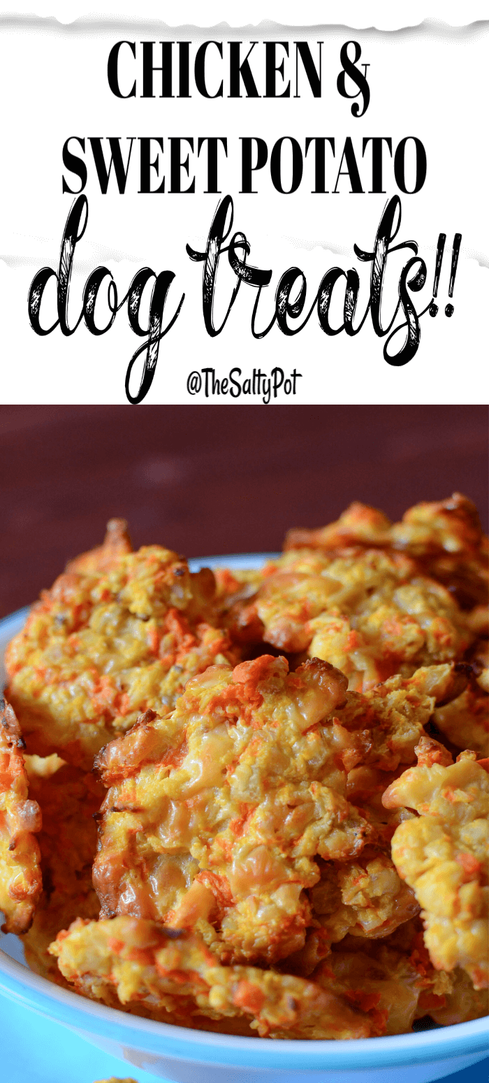 Grain Free Dog Treats | The Salty Pot