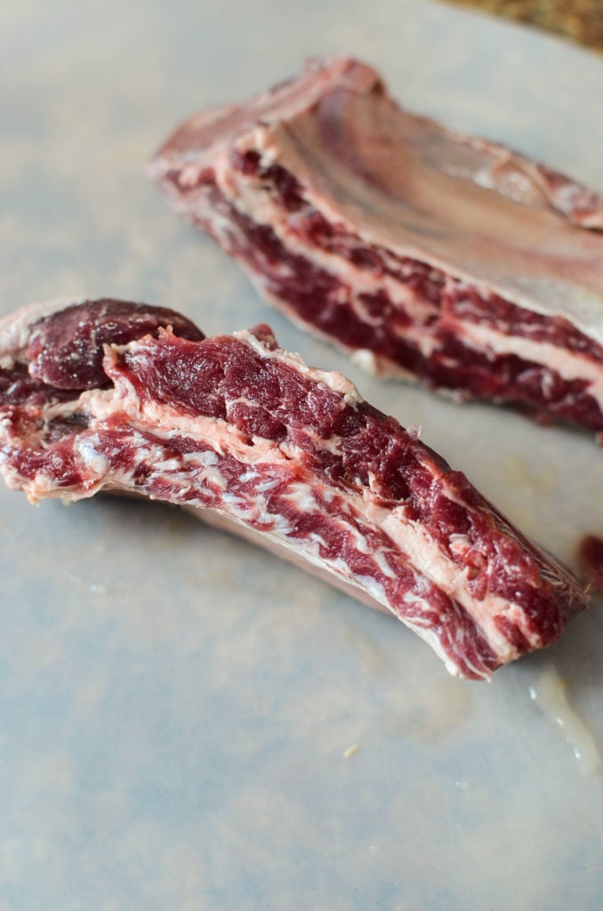 two beef short ribs, unseasoned, raw. One rib shown at a cross section