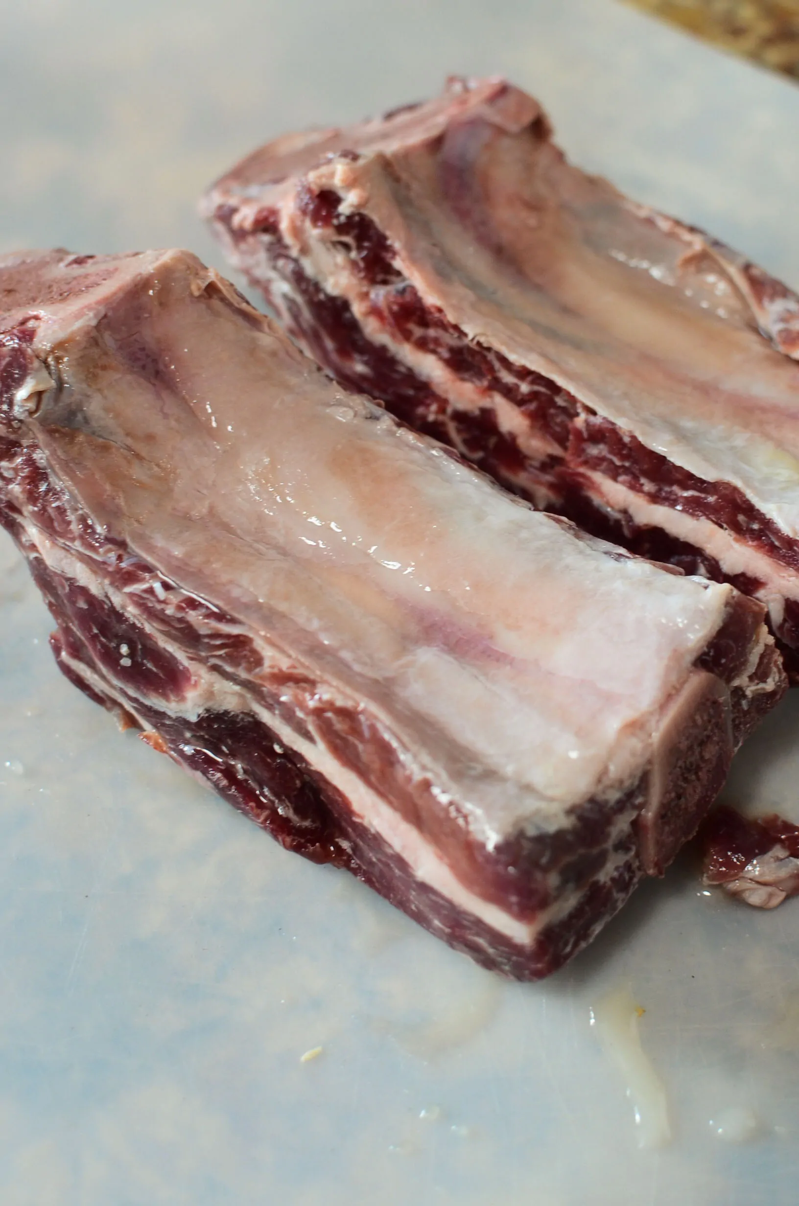 2 raw beef short ribs, unseasoned, meaty side down
