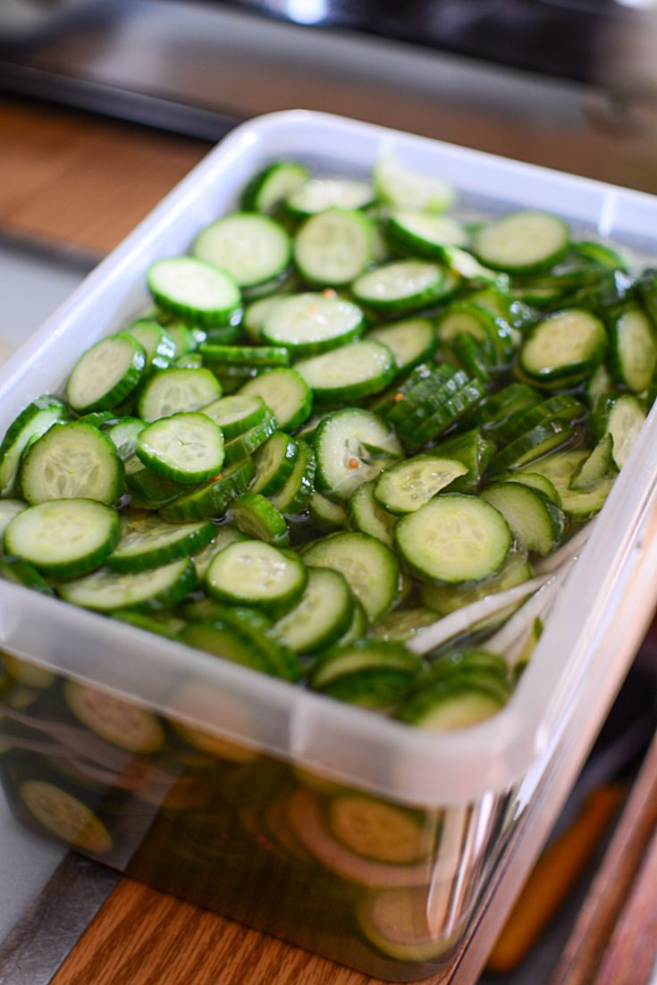 Make Your Own Delicious Bucket Pickles The Salty Pot