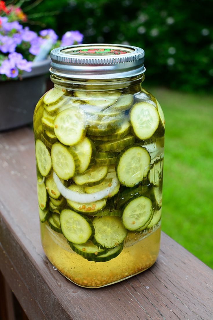 Make Your Own Delicious Bucket Pickles The Salty Pot