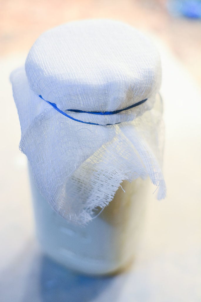 An image of a glass jar filled with cultured buttermilk and covered with cheesecloth and sealed with blue rubber band