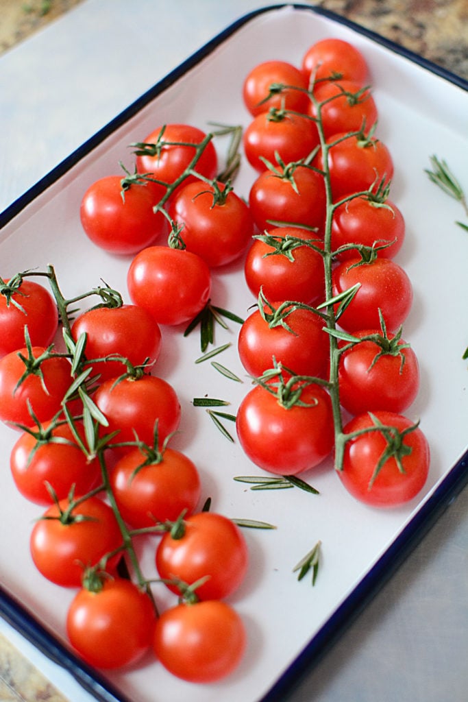 Fresh red tomatoes on a vine sitting in a white baking dish