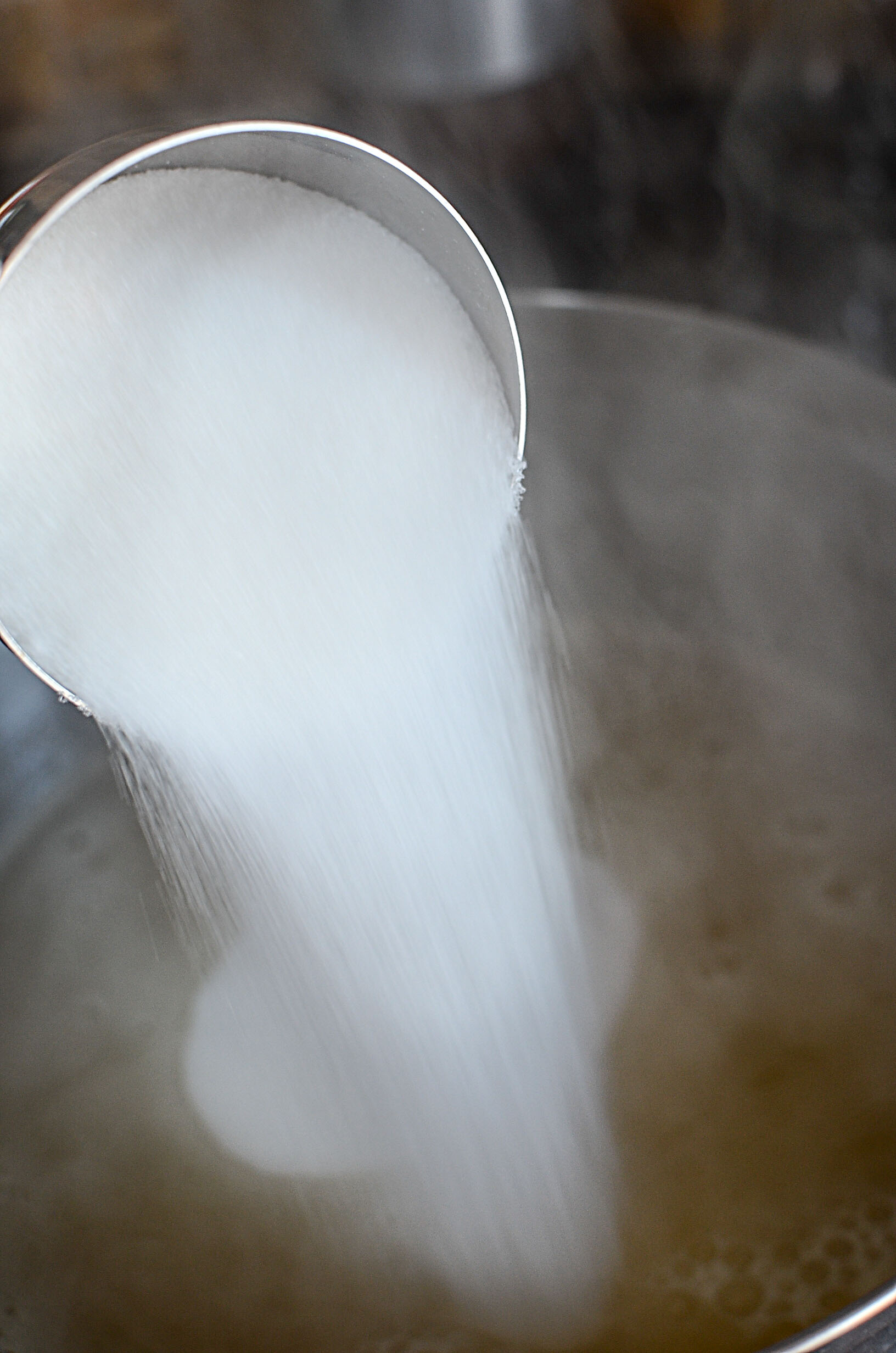 Homemade Dandelion Jelly The Salty Pot