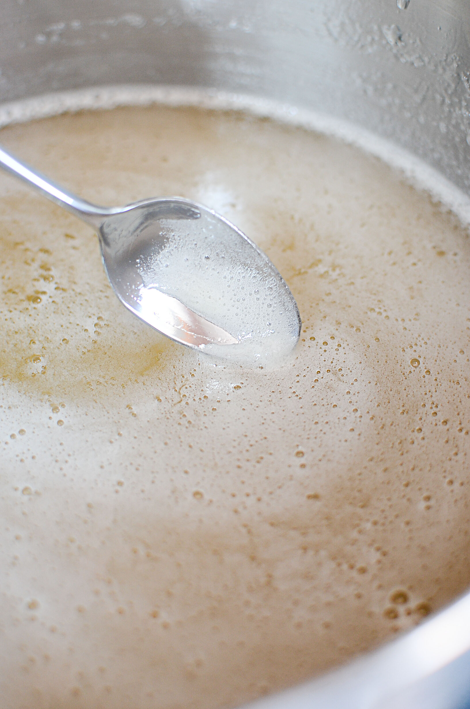 Homemade Dandelion Jelly The Salty Pot
