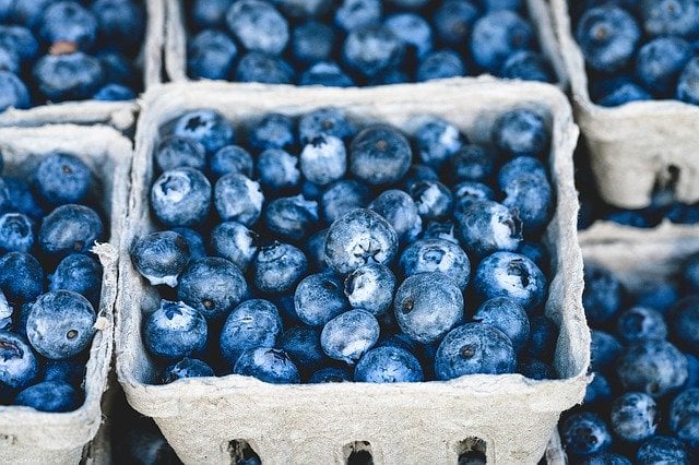 Blueberries in a paper market carton