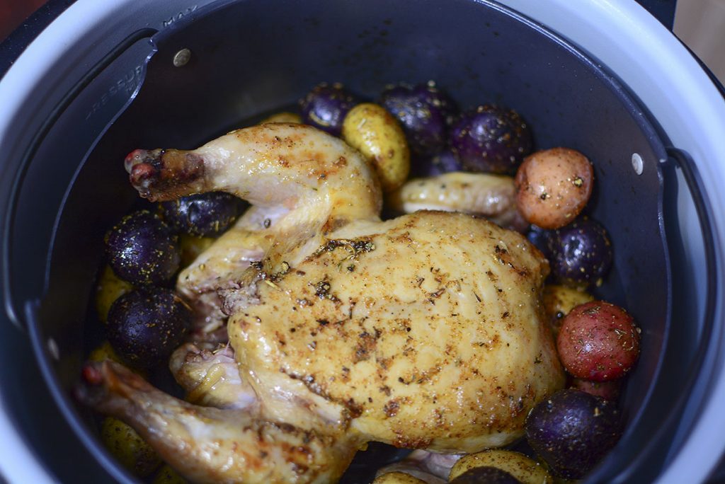 Ninja Foodi Air Fryer Cornish Hens w/potatoes The Salty Pot