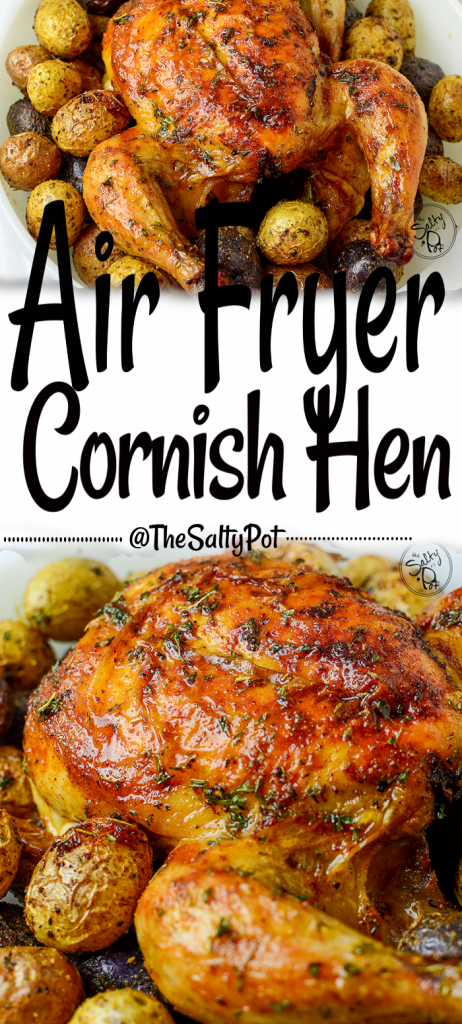 Ninja foodi air discount fryer cornish hen