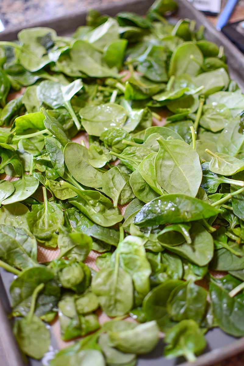 Fresh spinach sitting on a baking sheet ready to go into the oven to be dehydrated.