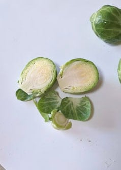 The inside of a brussel sprout cut in half.
