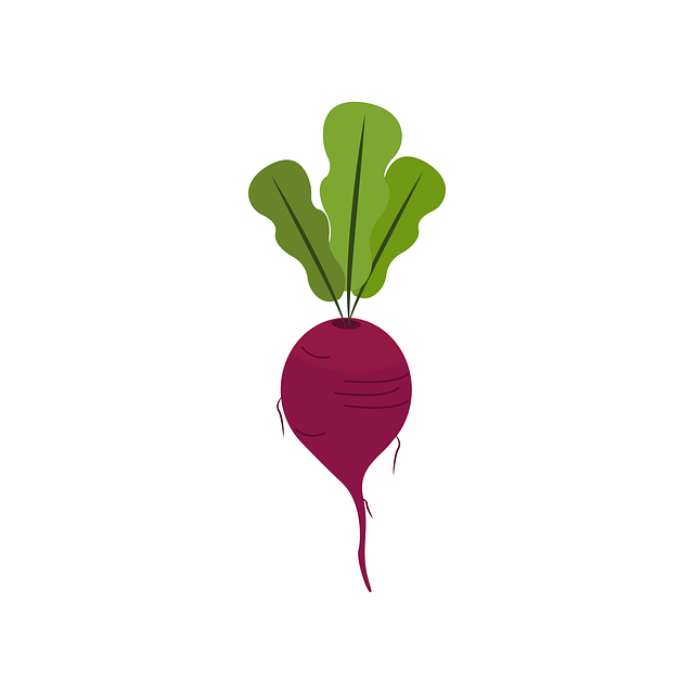 A sketch of a beet, Image by Satheesh Sankaran. 