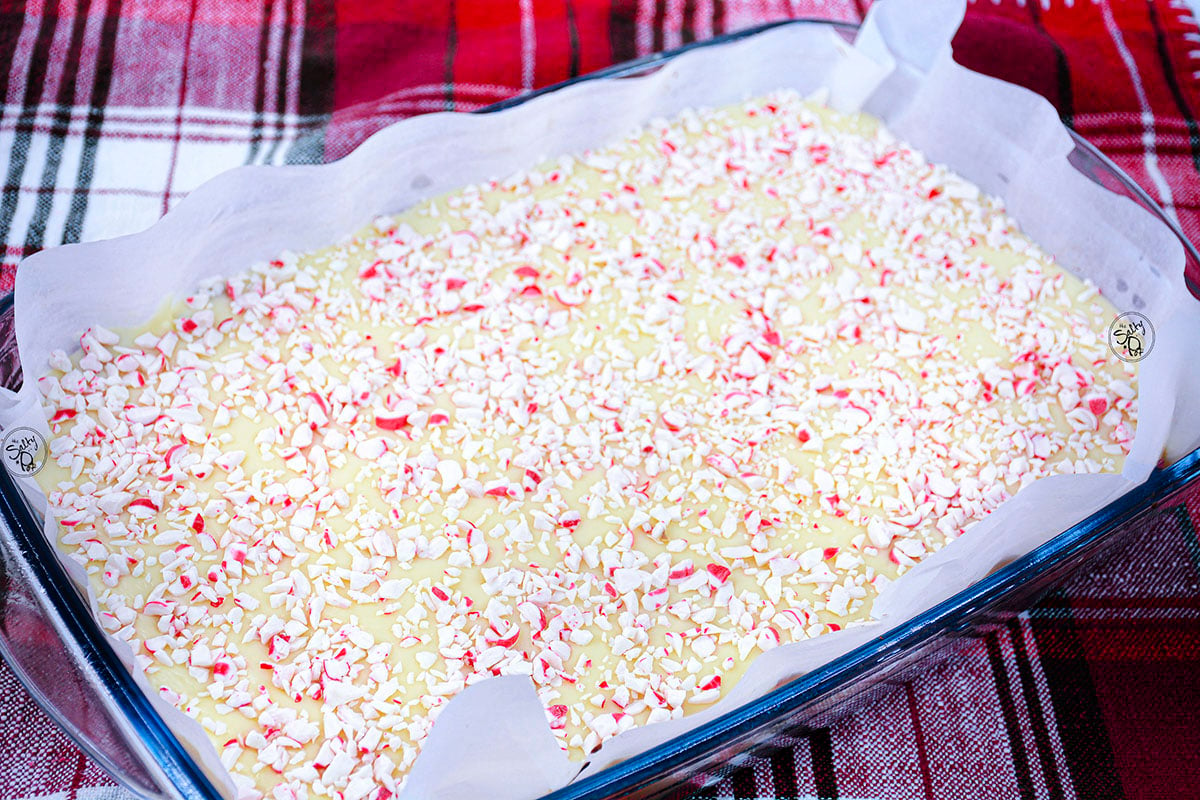 Peppermint fudge almost finished. Crushed candycanes are set into the top layer in the pan. The pan is sitting on a checked red and white tablecloth.