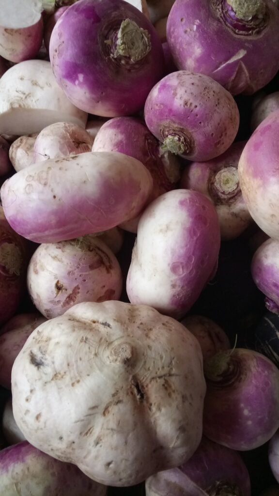 Turnips piled on top of eachother.