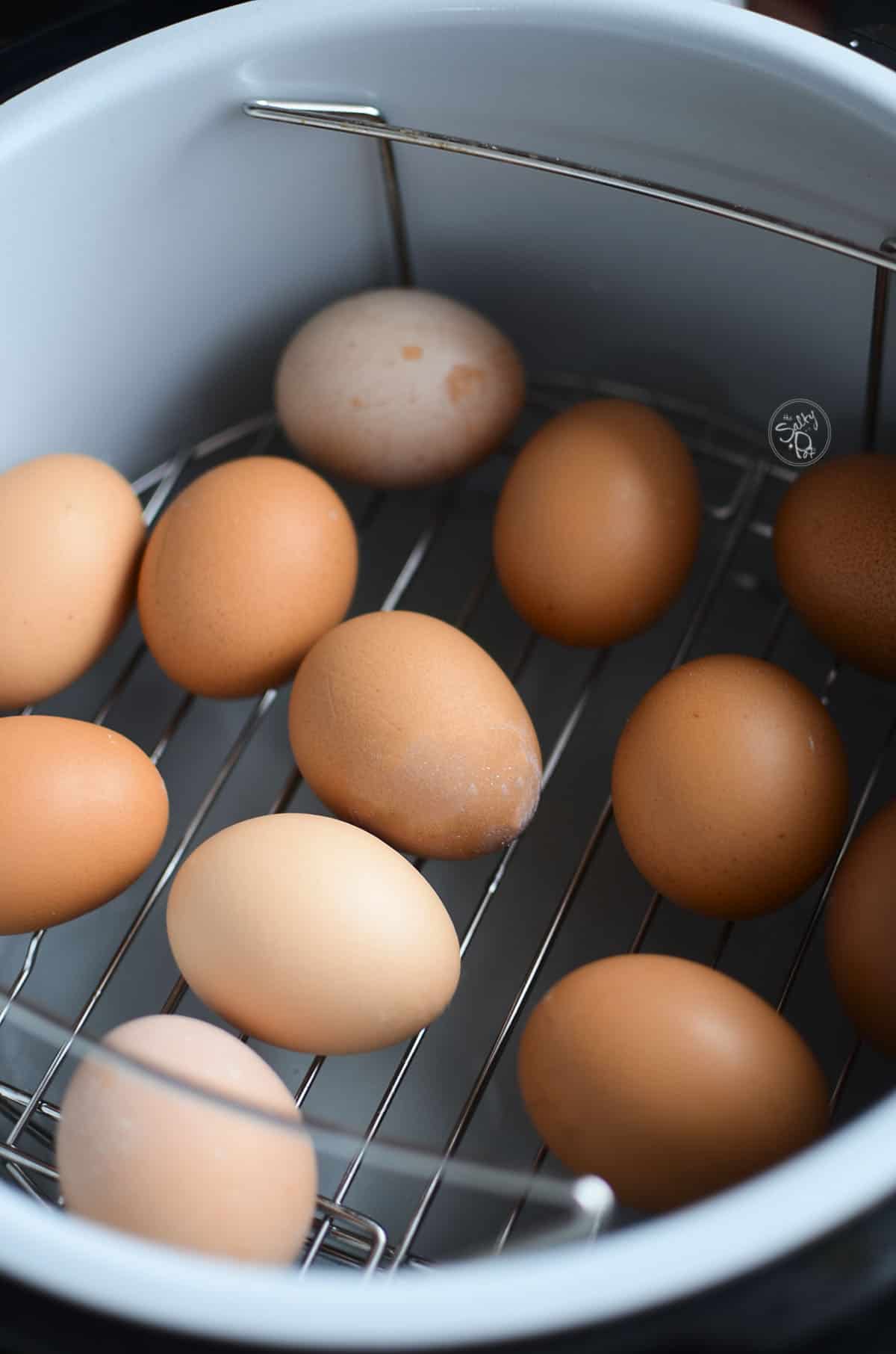 A dozen eggs sitting on the trivet inside the ninja foodi ready to cook.