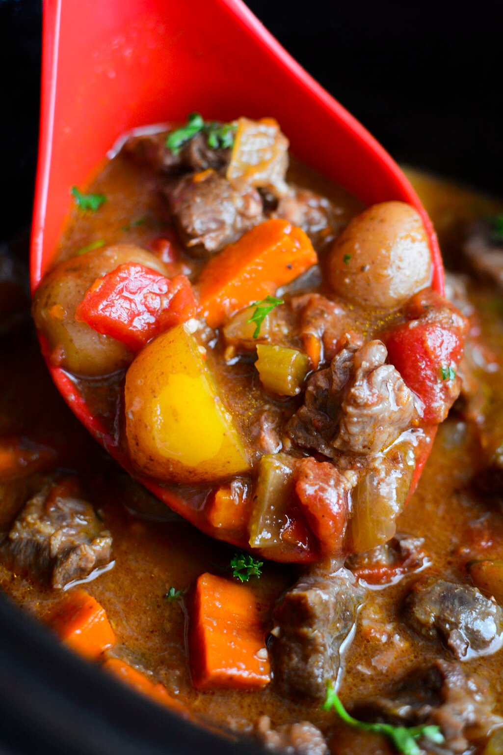Slow Cooker Beef Shank Stew | The Salty Pot