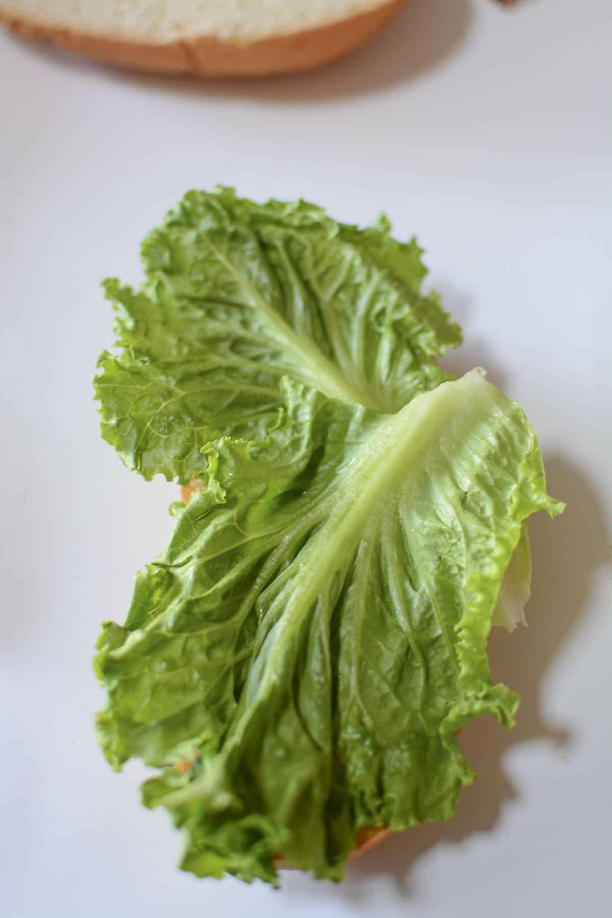 Romaine lettuce laying on the bottom portion of the bun.
