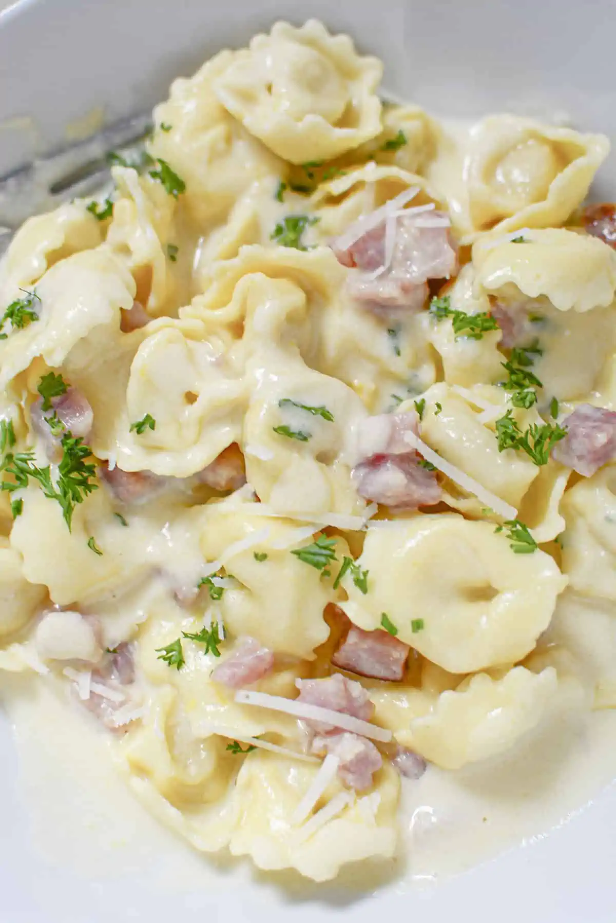 Tortellini in cream sauce, in a white bowl. Pieces of ham and shreds of parmesan cheese or mixed in and laying on top.