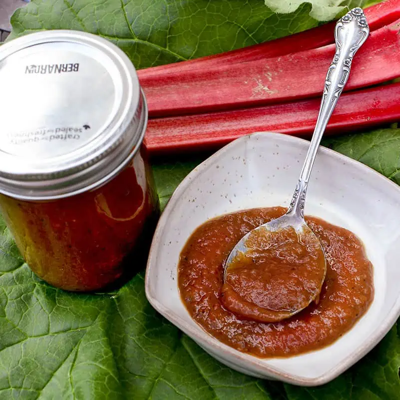 Rhubarb BBQ sauce in a shallow dish with a silver spoon in the sauce.