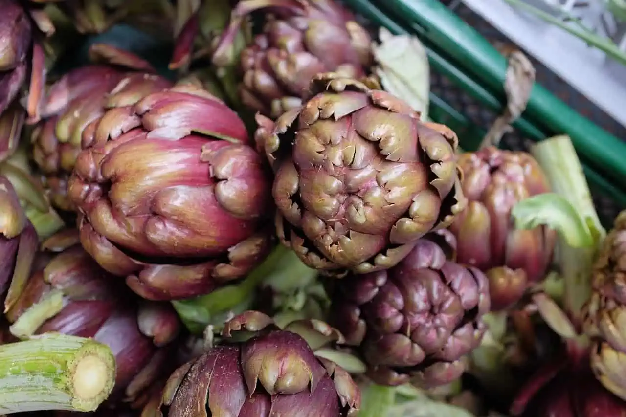 Artichokes piled into a container. 