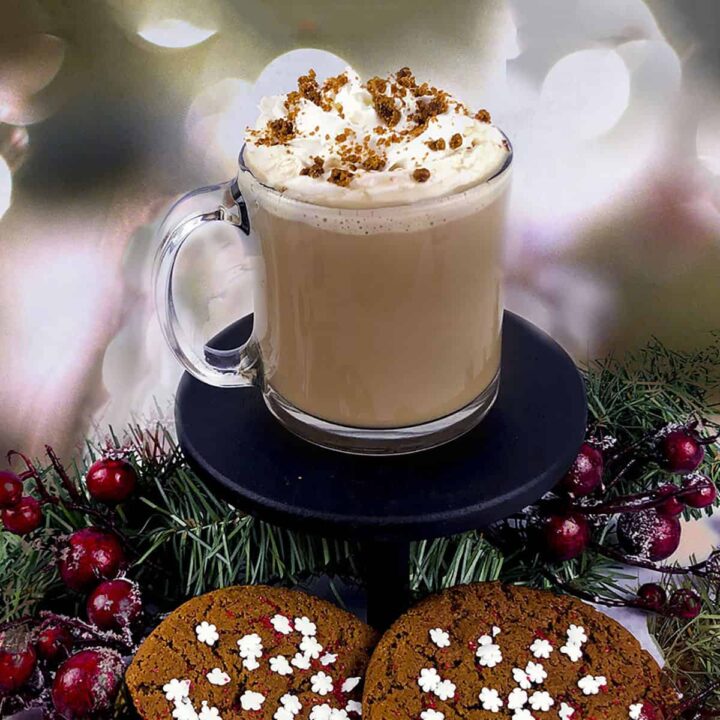 Slow Cooker Spiced Rum Hot Chocolate square image.
