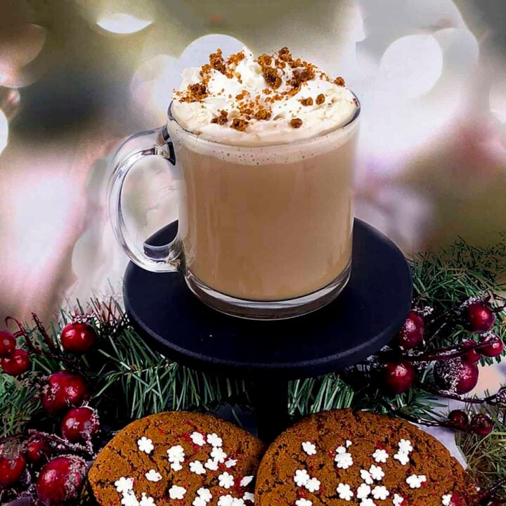 Slow Cooker Spiced Rum Hot Chocolate square image.