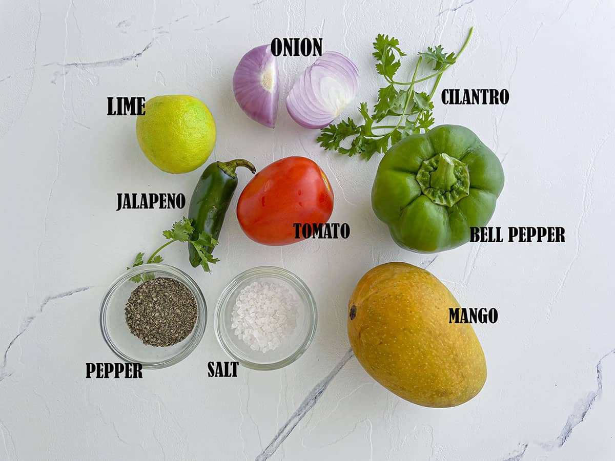 Ingredients for the mango pico de gallo - top left to right - lime, onion, cilantro, jalapeno, tomato, bell pepper, pepper, salt and mango