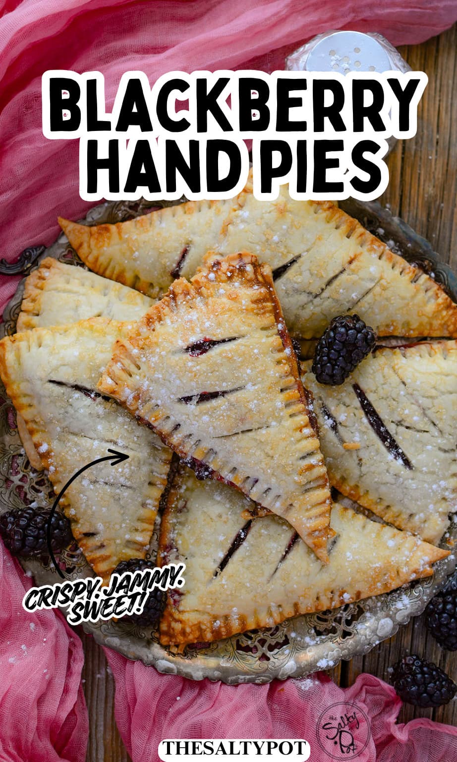 Blackberry hand pie pin