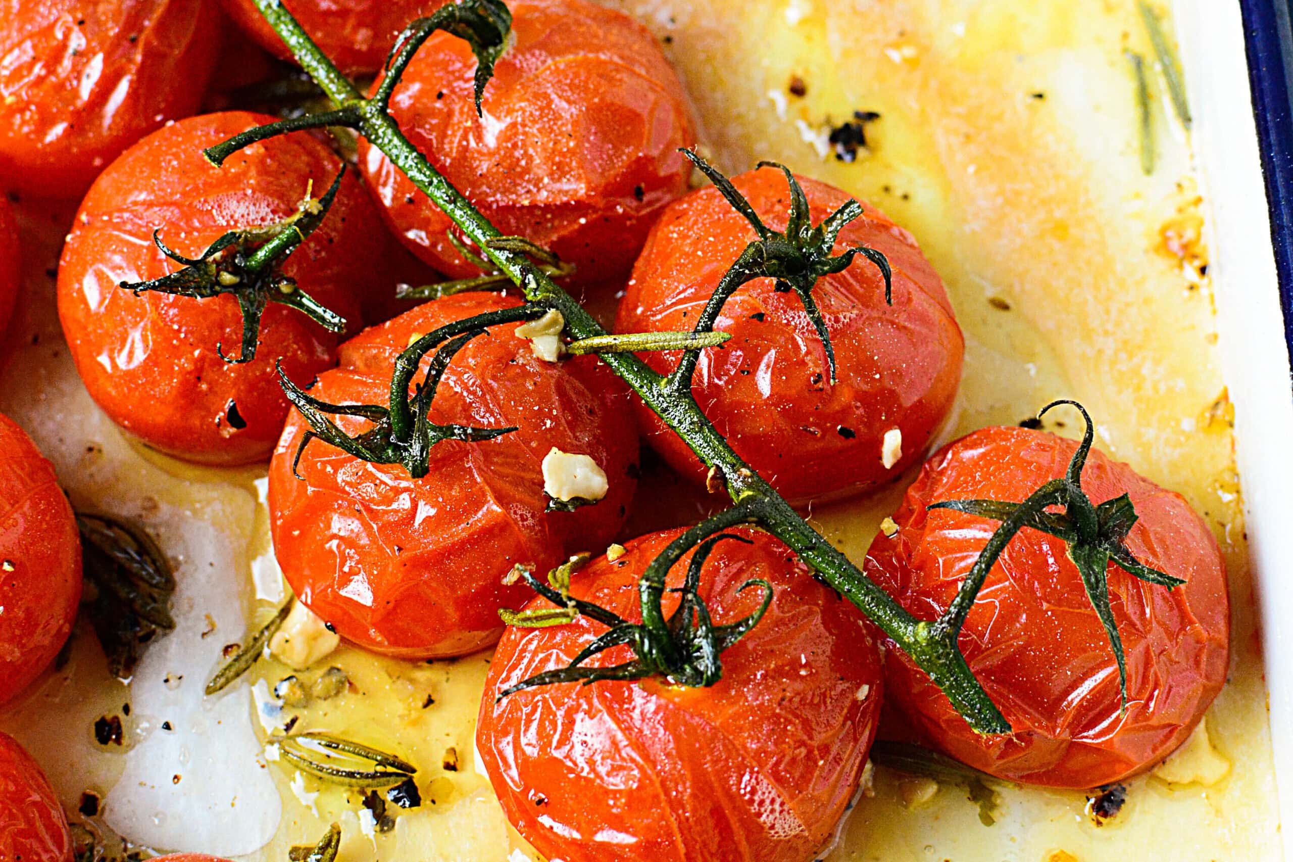 Mediterranean Roasted Vine Tomatoes are a simple and delicious side dish for almost any protein you pair it with! Roasted red tomatoes on a vine sitting in a white baking dish with oil and seasonings around it